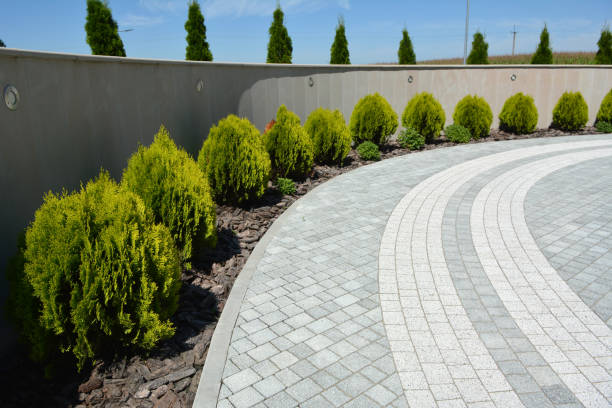 Reasons to Select Us for Your Driveway Paving Requirements in East Porterville, CA